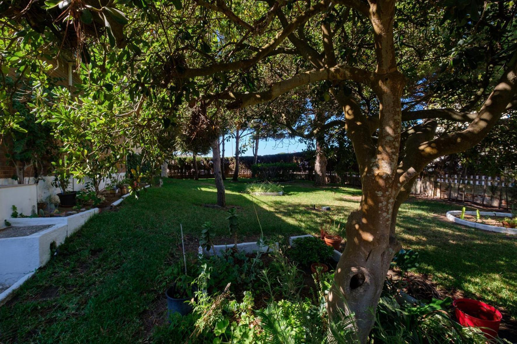 Casa Del Abuelo Ferienhaus *